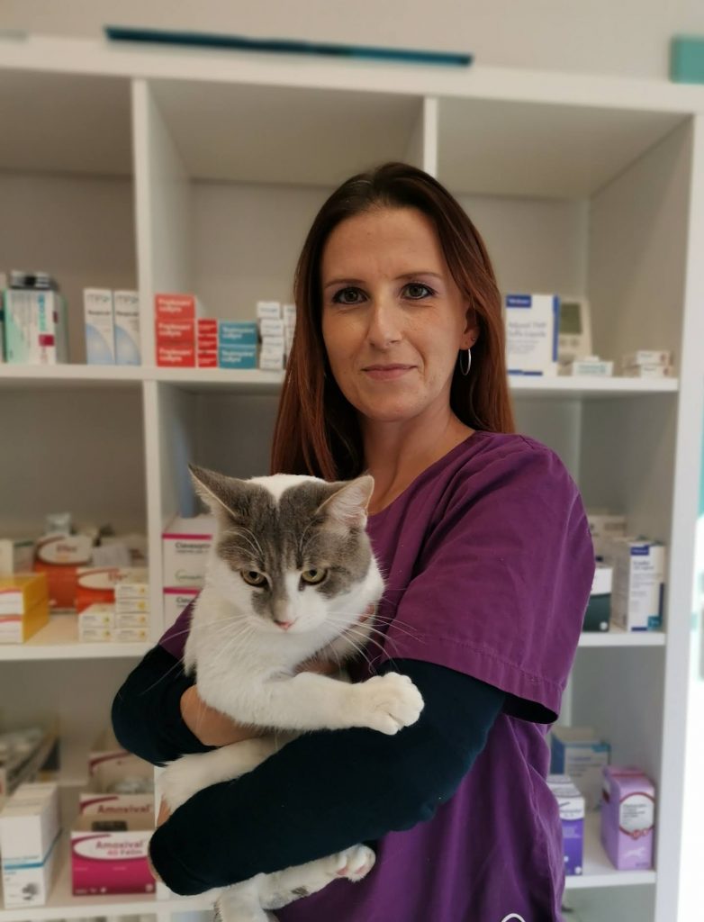 vétérinaire à AulnoyeAymeries » Auxiliaires vétérinaires