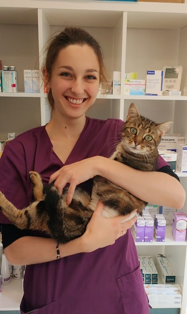 vétérinaire à AulnoyeAymeries » Auxiliaires vétérinaires